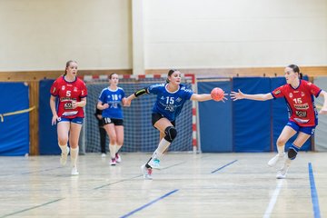 Bild 117 - wBJ TSV Ellerau - HSG Schue/We/Re : Ergebnis: 23:15